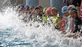 수영, 생존을 위한 필수