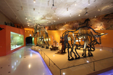 [나는 경기도입니다]4.나는 ‘가족’입니다-한탄강 오토캠핑장