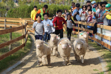 [나는 경기도입니다] 나는 가족입니다 -6.안성 팜랜드