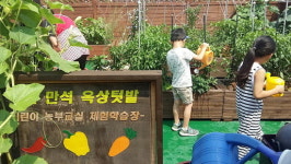 만석동 주민센터 옥상 텃밭은 생태체험장