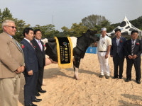 이시돌 목장 1322호 젖소 ‘내가 챔피언’