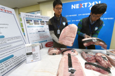 ‘비싼 흑돼지 실상은 백돼지’ 294만인 분 유통