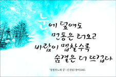 부평구민이 만든 겨울 공감글판 전시