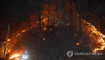 부산 기장서 산불, 열흘 만에 또 … '건조한 인화물' '강풍' 관건