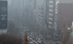 답답한 겨울 하늘