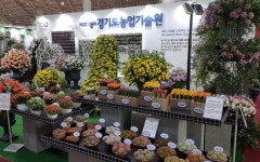 자체 개발한 화훼품종 63종 소비자·바이어들 이목 집중