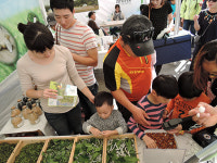 부평구 인천나비공원서 곤충 관람 등 체험 한마당