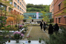 만월중의 가을, 들꽃 80여 종 만발