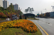의왕시, 도시숲 늘려 미세먼지 줄인다