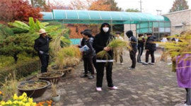 용인 기흥중 화단 사계절내내 ‘화사한 꽃마당’