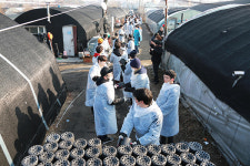 과천시 과천동, 기탁받은 연탄 꿀벌마을 취약계층 가구 60곳에 전달