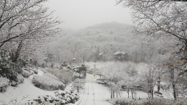 강화군 석모도휴양림 ‘겨울 천국’ 최고 인기
