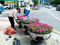 안양시 주요 교차로와 공원 등에 봄꽃 식재