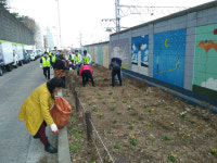 인천시 미추홀구 도화1동,식목일 맞아 꽃길 조성 식목행