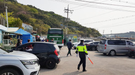 오후도 되기 전 입도차량 900대 훌쩍 뱃길 끊긴 선착장엔 외로운 갈매기뿐
