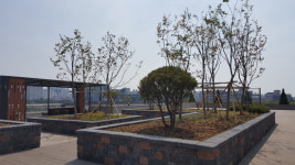 평택 배다리도서관 옥상정원 오는 20일 문열어