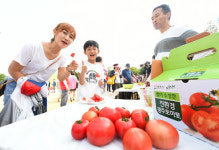 광주시, ‘제17회 퇴촌토마토축제’ 성료