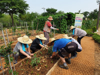 부천시 ‘어르신 청춘 일터’ 5곳 조성 노인 80명에 일자리 마련