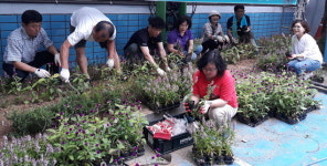 계양2동 ‘가을 꽃 만발’ 시민들 환한 미소