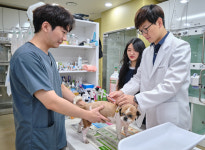 반려동물을 내 가족처럼 믿음·신뢰로 특화 케어