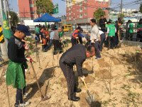 인천시 계양구 작전서운동행정복지센터,주민과 함께하는 도시녹화 캠페인 전개