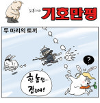 두 마리의 토끼