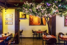 술집창업! 이태원클라쓰 단밤과 같은 감성주점 지금보고싶다 여심저격?