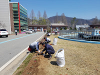 가평군 하수처리시설 주변 봄맞이 꽃동산 조성 등 꽃단장