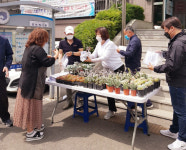 인천시 남동구 남촌도림동, 정서지원 위한 힐링 화분 나눔