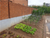 강화 갑룡초교, 학교 안 꿈자람 식물 정원 꾸미기