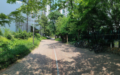 과천시, 중앙동 교동길·내점길에 새 휴식공간 조성