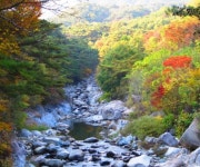 핫이슈 홍류동계곡, 합천 8경의 색다른 감동은?... 관심 급부상