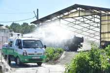 돼지열병 피해 강화 농가 양돈사업 접겠다