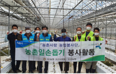 농협경기본부와 오산농협 농촌일손돕기 펼쳐