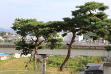 16.군장리의 청백리, 팔곡 구사맹 〔完〕