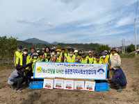 양평군 용문면협의체, 사랑 나눔 농장서 고구마 수확 구슬땀