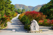 광주시, 자연명소 프로젝트 열매