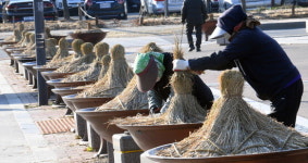 꽁꽁 싸매는 화단