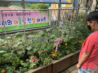 수원 매원초, 수원시농기센터서 학교치유텃밭 프로그램 성공적 마무리