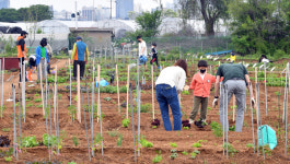 텃밭 가꾸는 재미 답답한 일상 활력