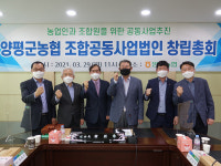 양평군 4개 농협, 양평 쌀 품질 경쟁력 강화 위해 조합공동사업법인 출범