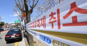봄꽃 앞에 꺾여버린 방역의식