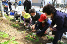 과천시, 시민들이 직접 마을정원 조성