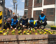 동두천시 생연2동 행정복지센터, 봄맞이 초화류 식재