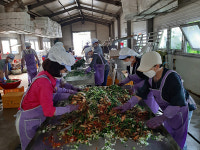 의왕시 부곡동지역사회보장협의체, 여름 김치나눔 봉사