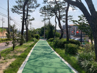 여주시, 걷고싶은거리 시내권 총 3.7㎞ 구간 정비 완료