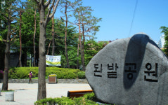 동네 유일 공원인데…반려견에 점령