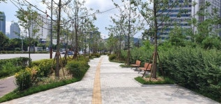 인천시 미추홀구, 수인선 이어 독배로 바람길 숲 조성