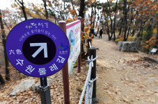 걷기 좋은 힐링 코스 수원 팔색길