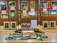 양평군 문앤리버, 군청로비서 일상, 작품이 되다특별전시회 개최